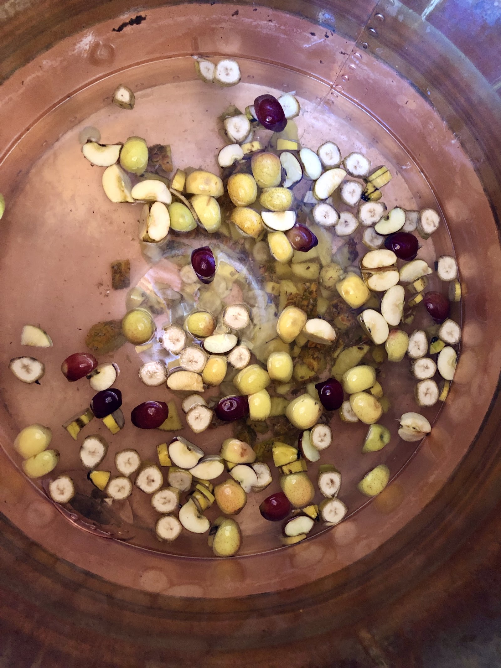 fruit fermenting in a clay pot