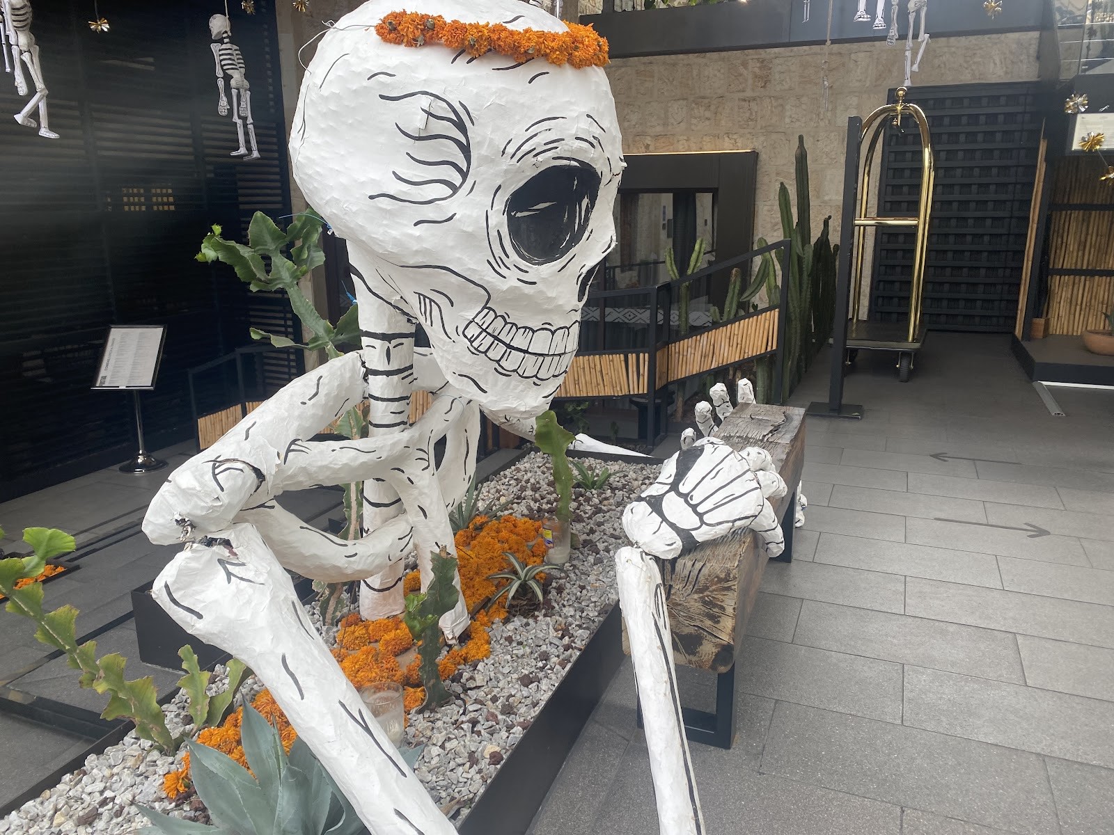 Day of the Dead skeleton display