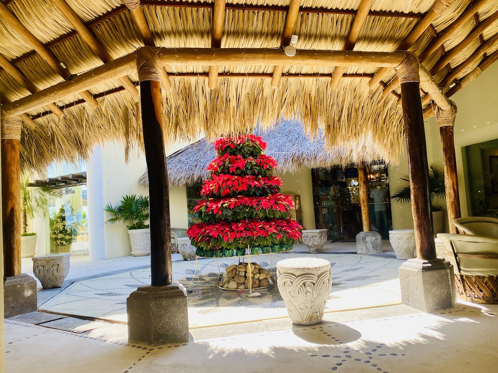 a poinsettia tree in the lobby