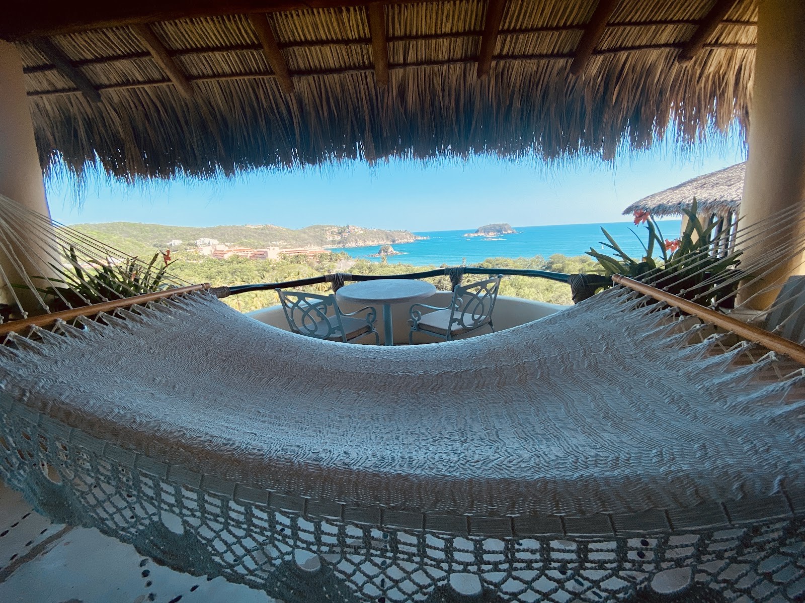a hammock over the bay