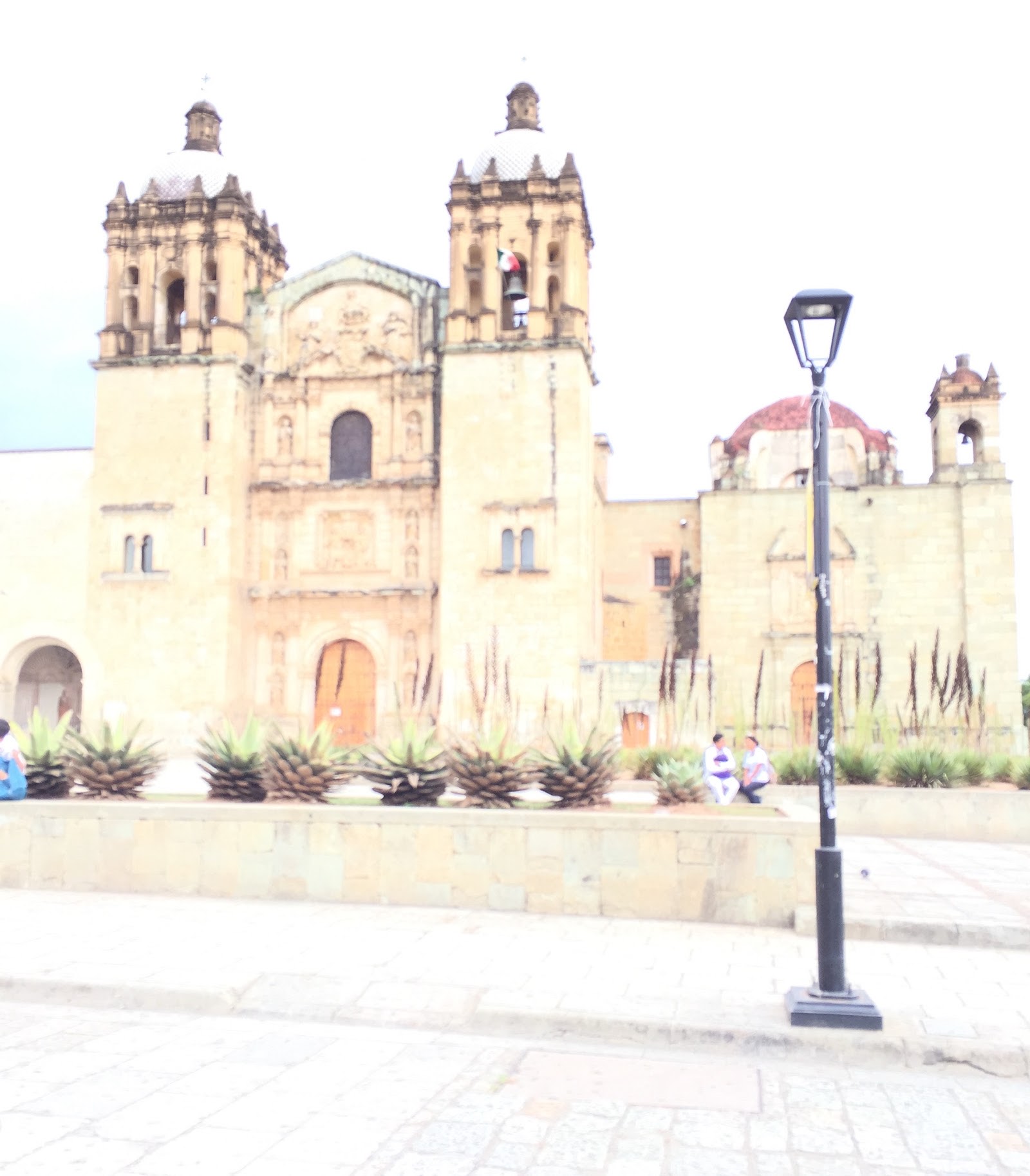 the Oaxaca cathedral and agave