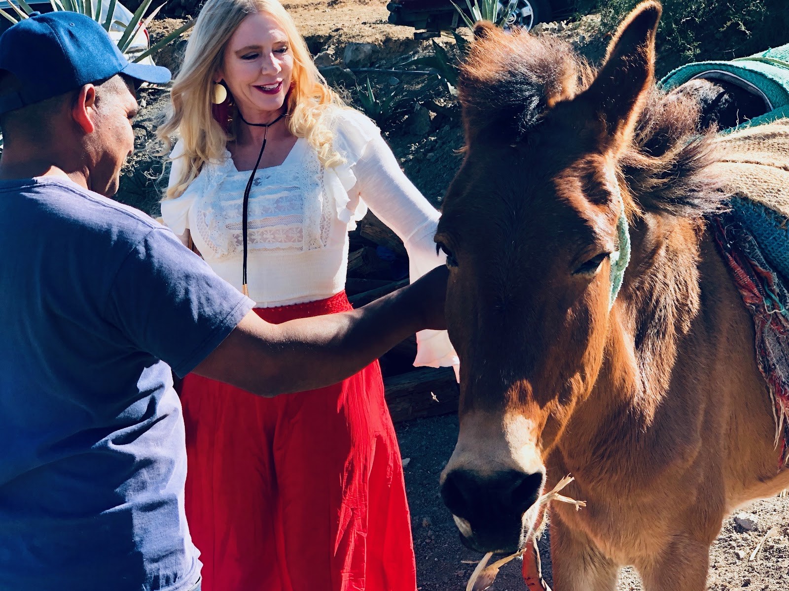 with a mule at the palenque